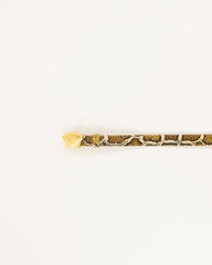 Women DIVILUZ Yellow Python | Belt