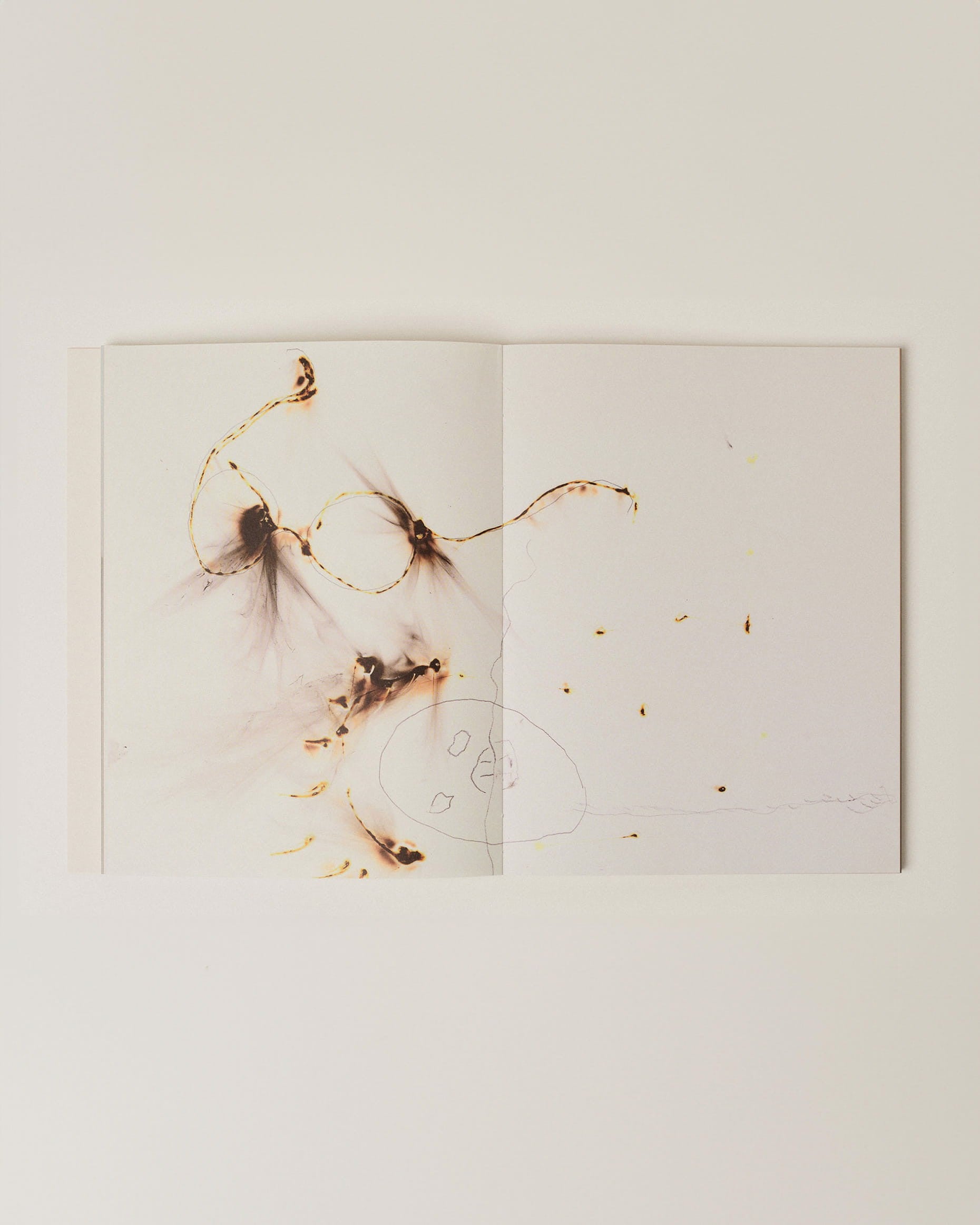 Women CASA IDEALE | Book