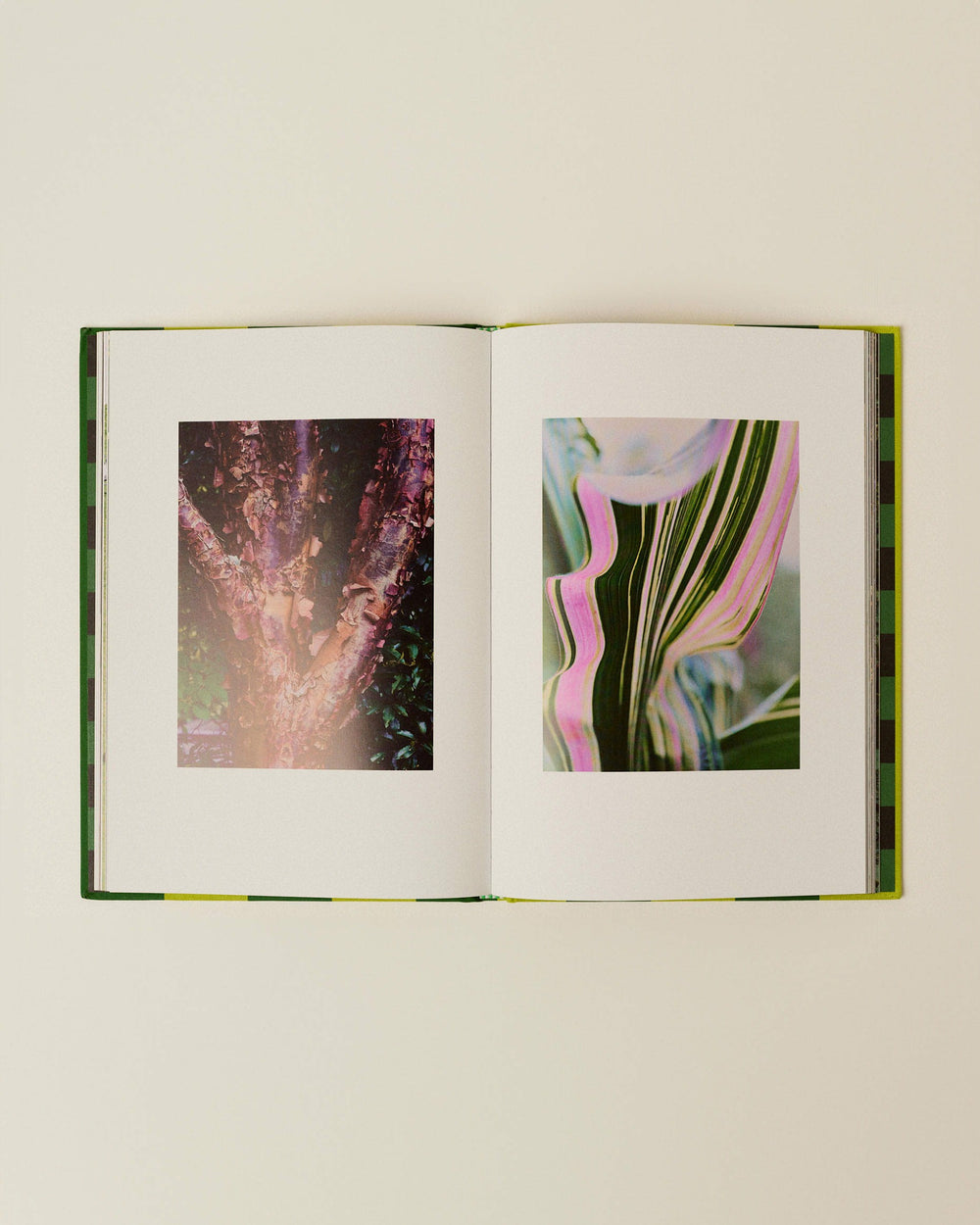 Women LE MANOIR AU QUAT'SAISONS | Book